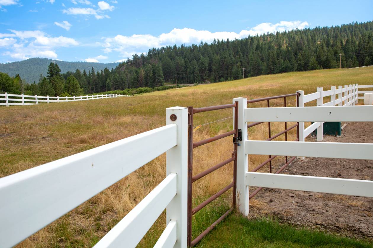 Amazing Equestrian and Orchard Property - photo 25