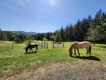 Property image.