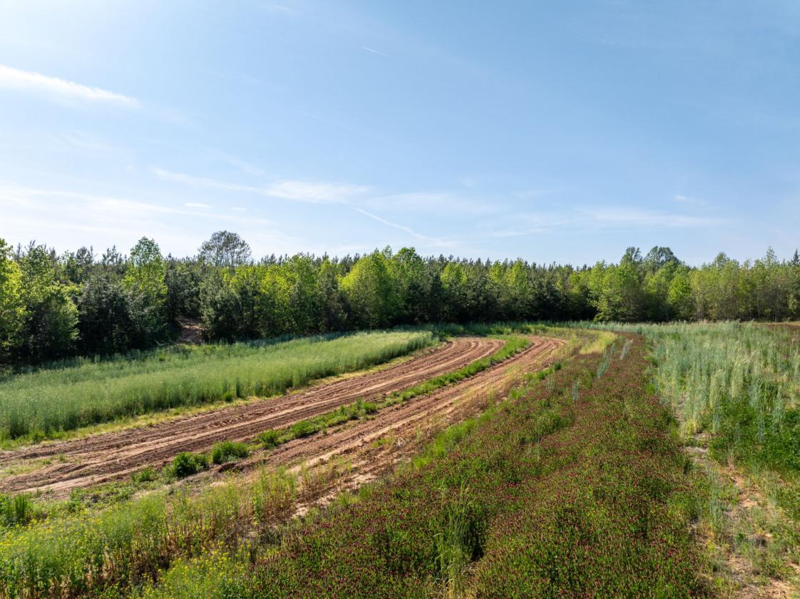 169 Acres, pastures, creeks, pond sites and trees - photo 10