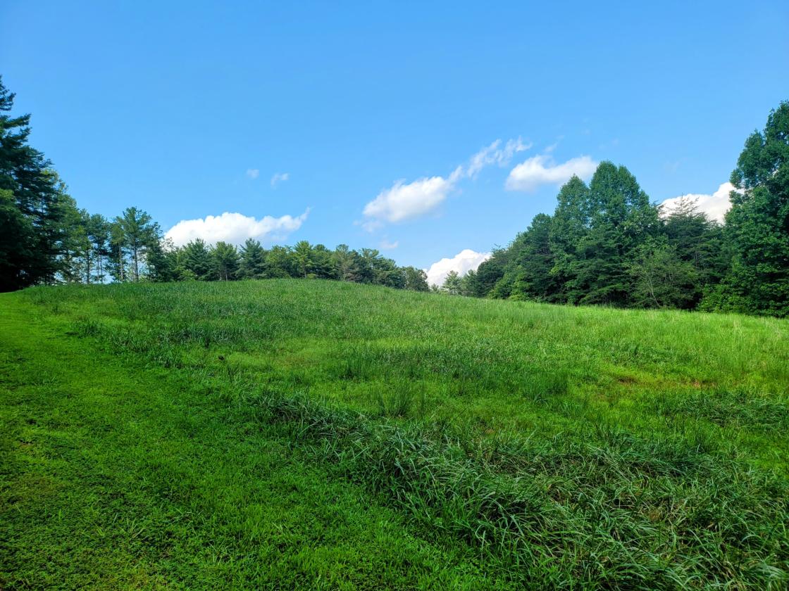 12.49 acres in Equestrian Gated Community! - photo 5