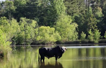 Property image.