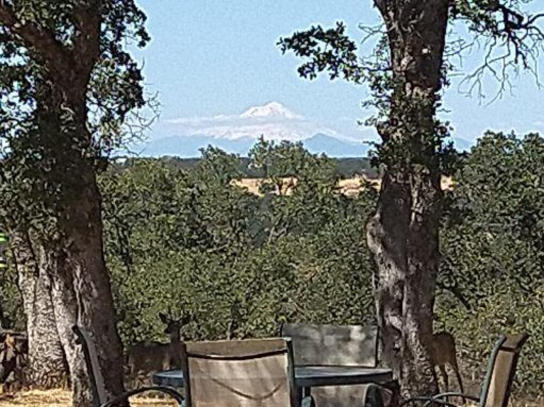 Utilities, Barn, and Mountain Views! - photo 13
