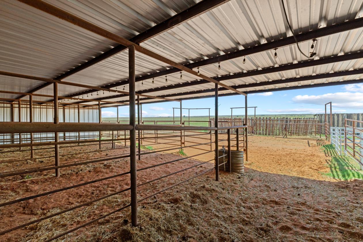 16.66 Acre Horse Property - photo 10