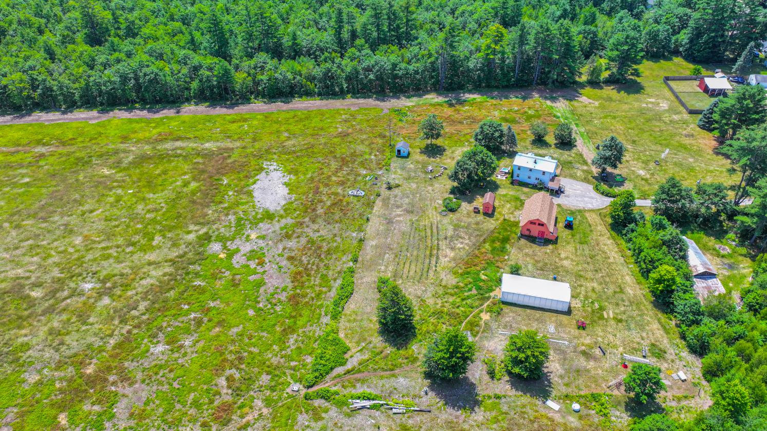 Homesteading Horse Opportunity! - photo 9
