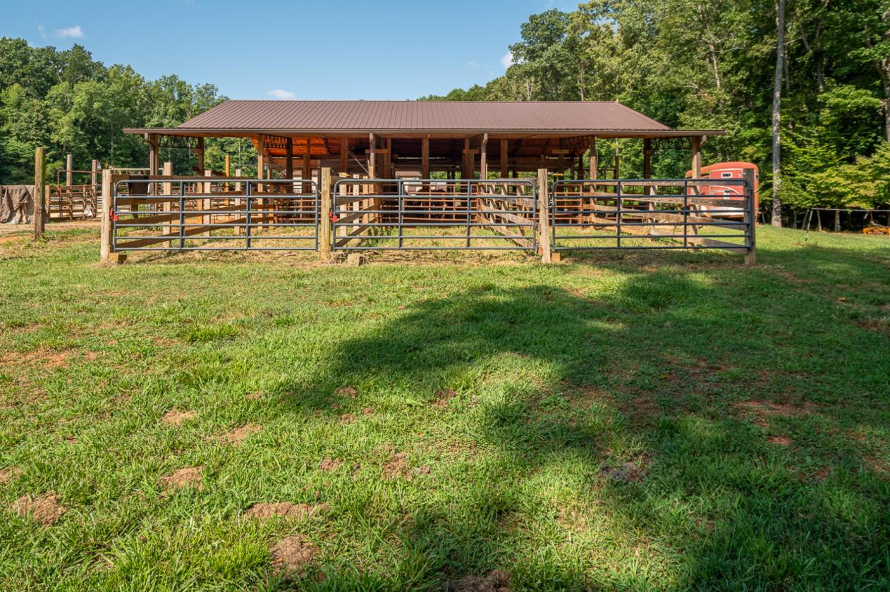 Must SEE Equestrian Property on 25+ acres - photo 21
