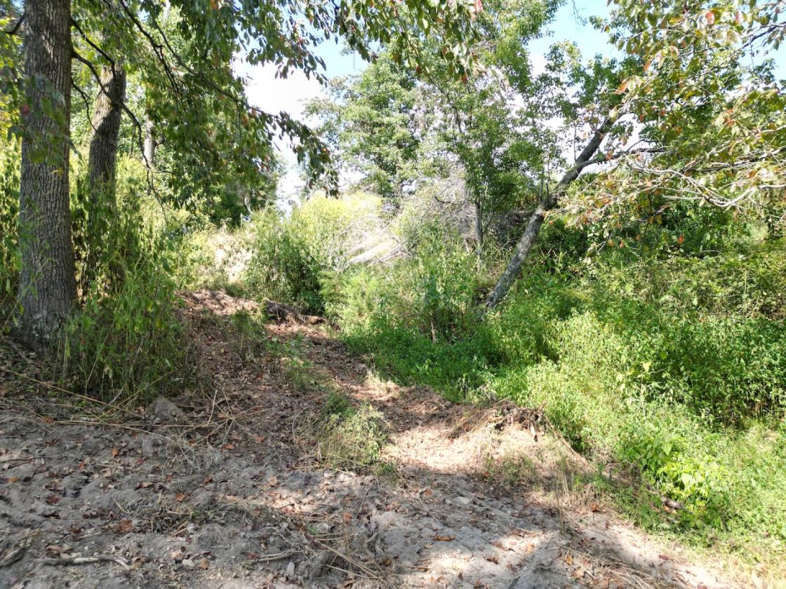 Country Farmstead Near Lake Cumberland! - photo 16