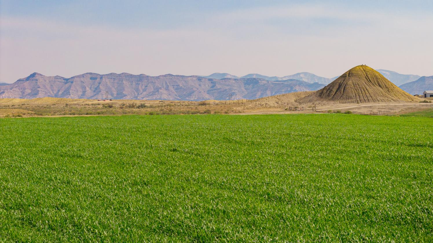 Wide Open Spaces with Irrigated Acerage - photo 5