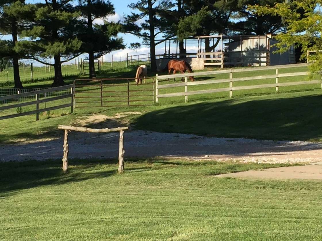 AMAZING ELKHORN ACREAGE READY FOR YOUR HORSES!! Elkhorn, Douglas