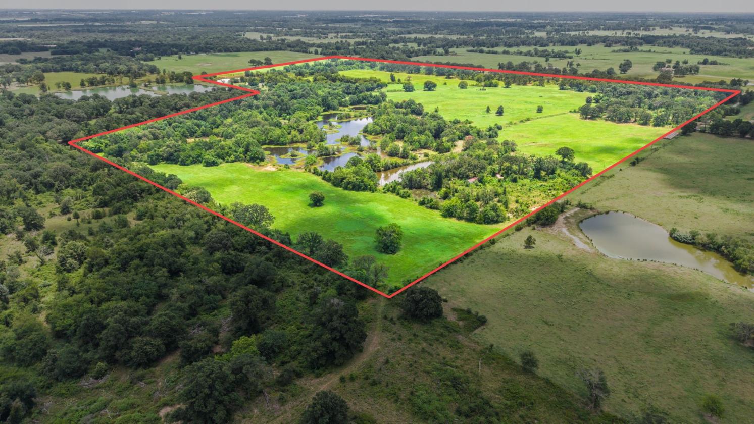 127 ac East Texas Rolling Hills - photo 4
