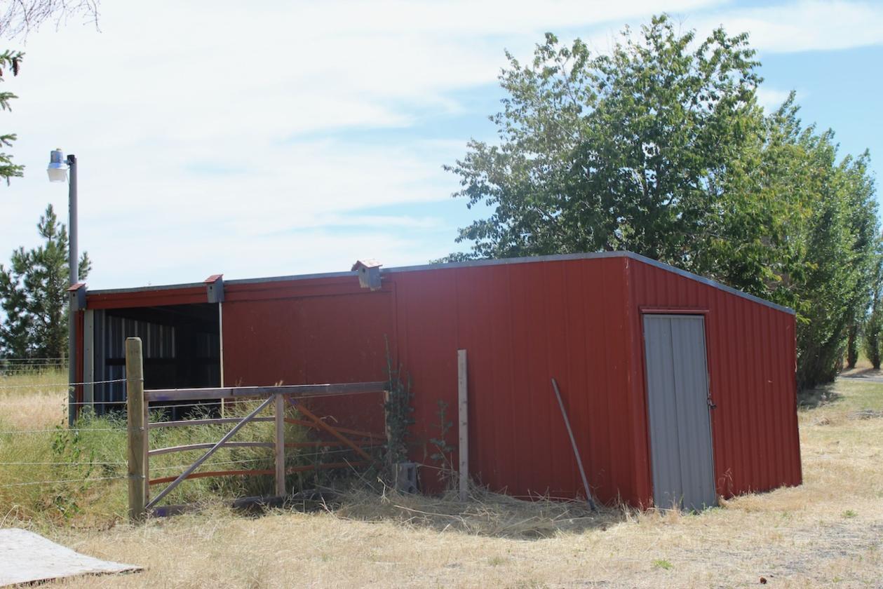 20 Acre horse property - photo 9