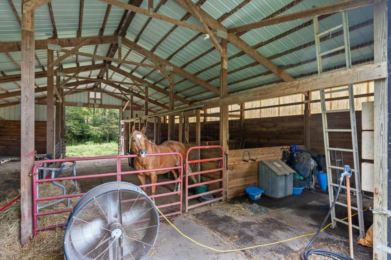 Horse Property: Boarding & Training Facility - photo 27