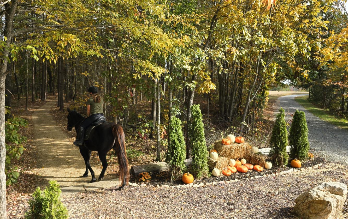 Southside Virginia Horse Farm - photo 4