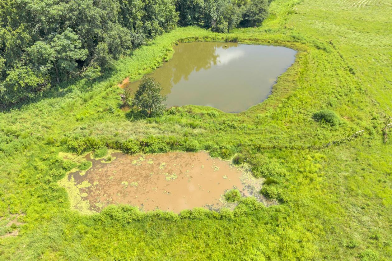 42-Acre Farm with Remodeled Home, Barn & Ponds - photo 30