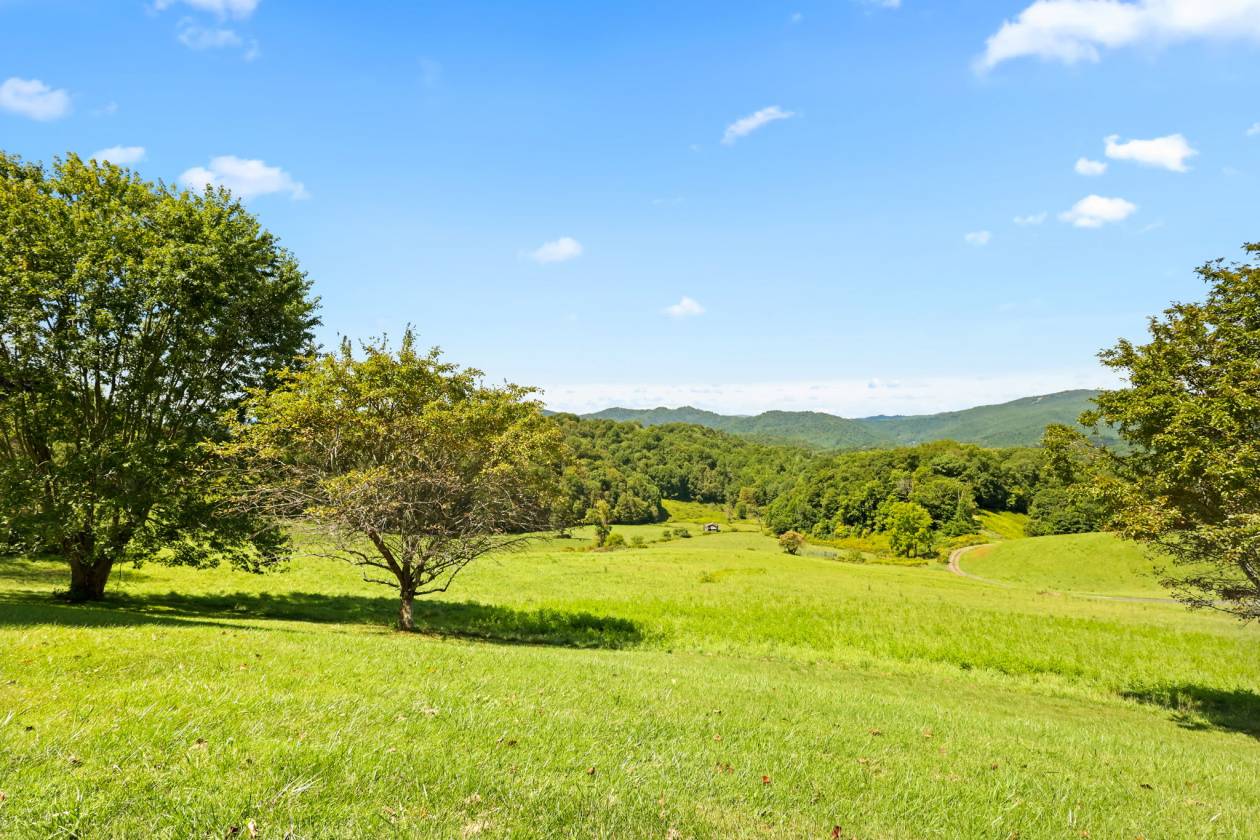 Apple Tree Farm - A Rare Offering on 246+ Acres - photo 18