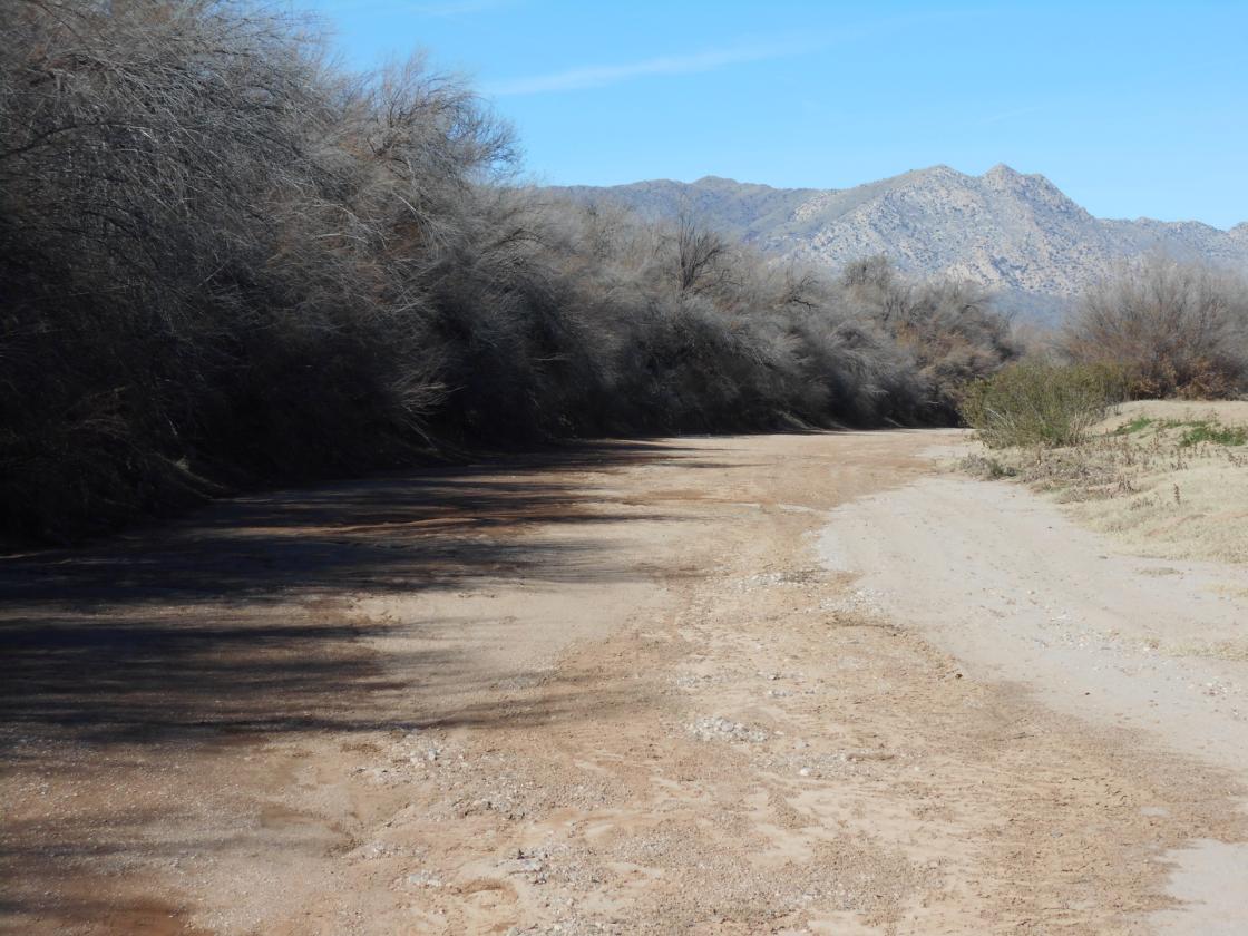 Horse Property - 69 Acres on San Pedro River! - photo 19