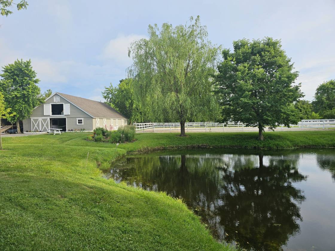 Exceptional 15-Acre Equestrian Facility! - photo 12