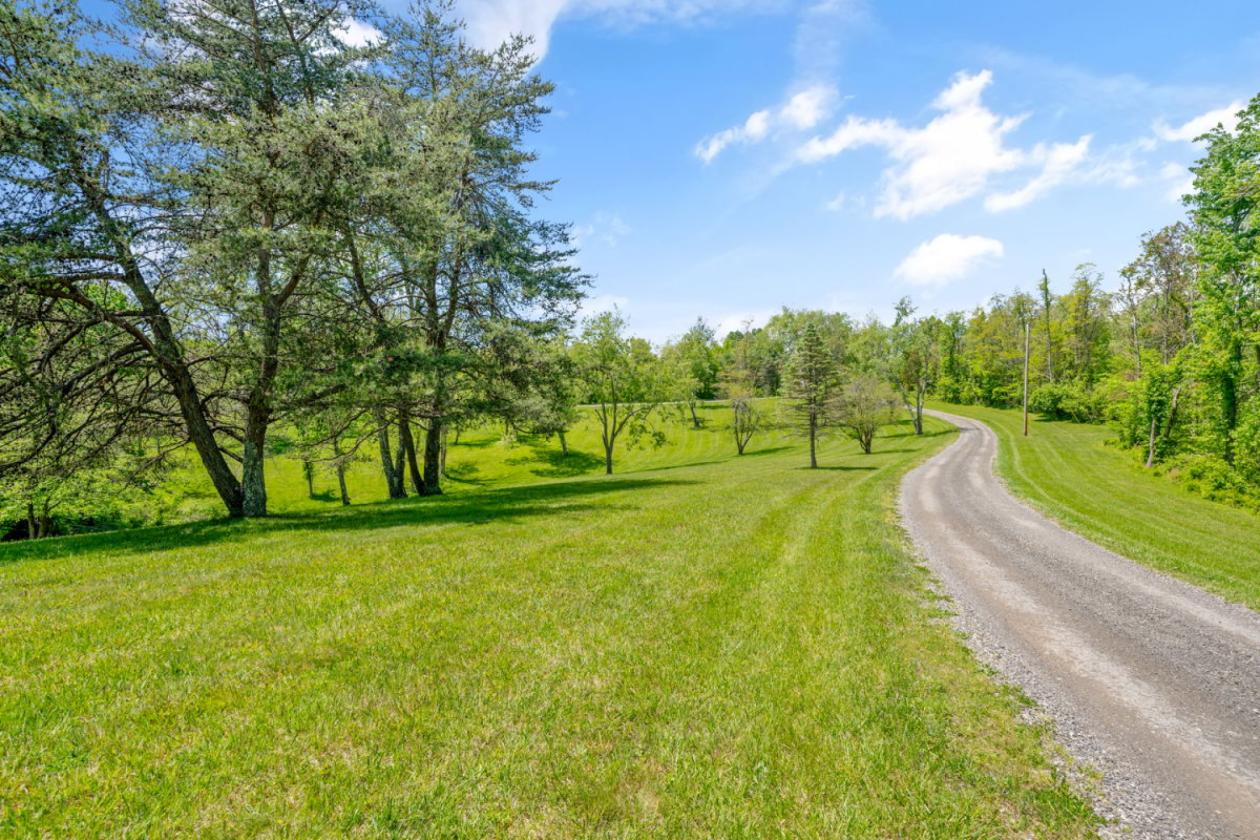 Future Equestrian Estate with Log Home - photo 9