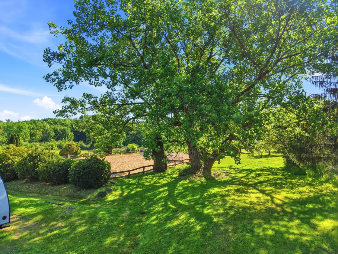 Rare 10-acre equestrian property in Geauga County - photo 23