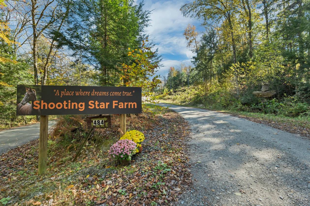 Horse Property for sale.