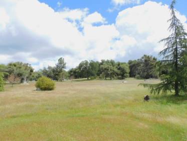 Property image.