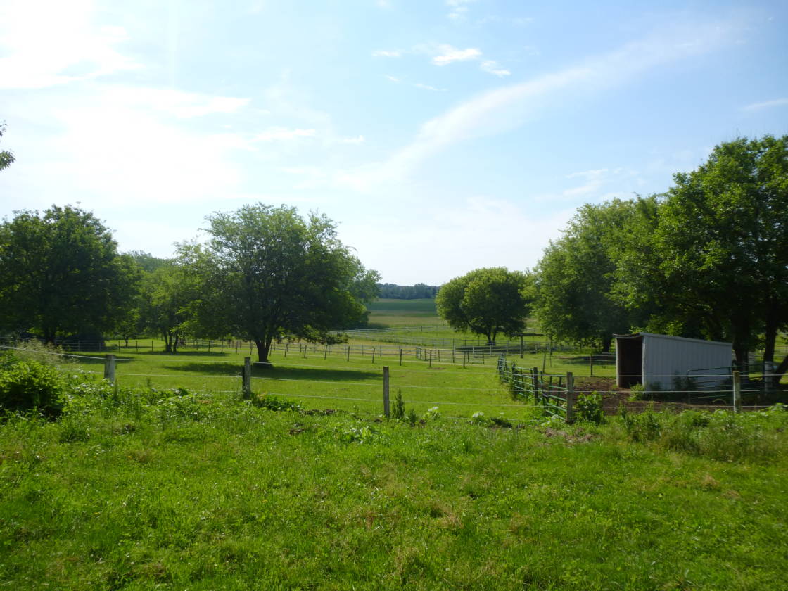 16 Plus Acre Horse Property With Ranch home, Private Pond... Sugar