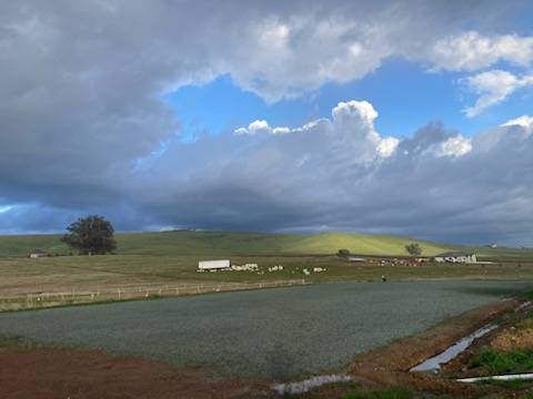Horse Property for sale.