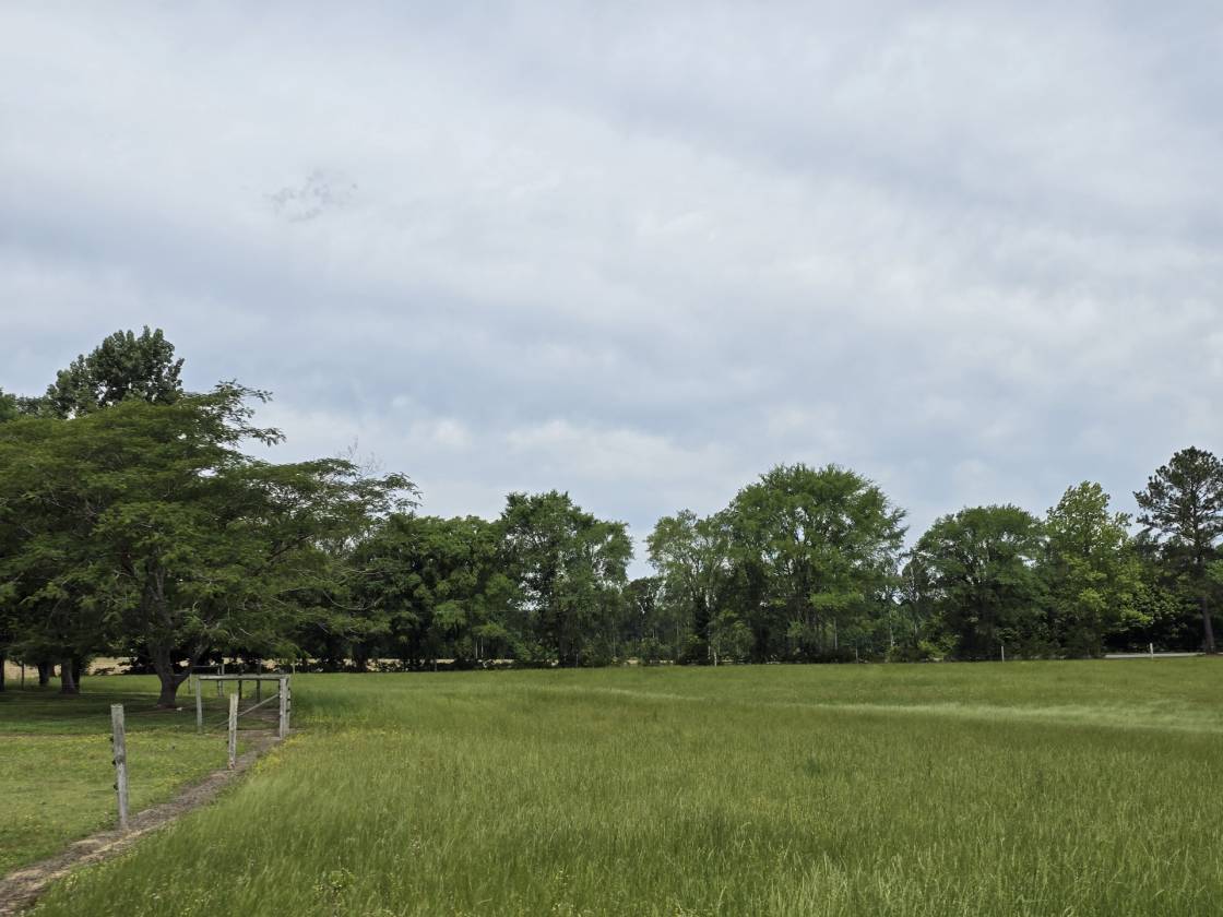 Horse Property for sale.