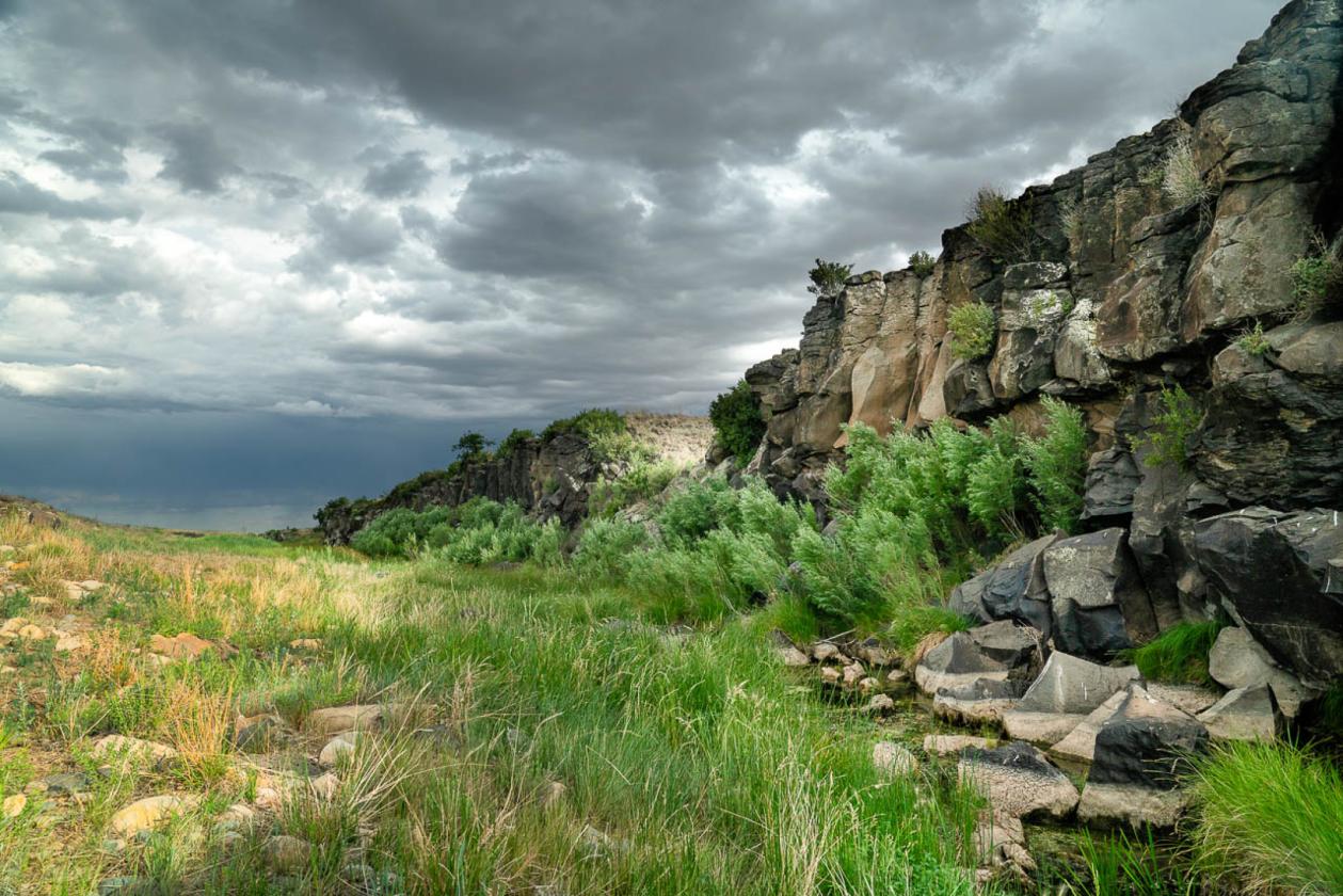 Horse Ranch: 363 Acres, Water & State Land Access - photo 4