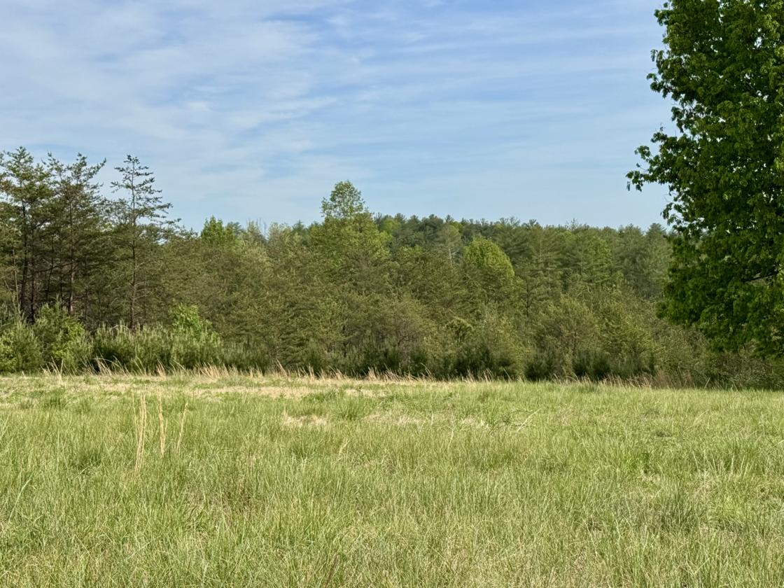2.47 acres for your Mini-Farm Dream at The Coves - photo 5