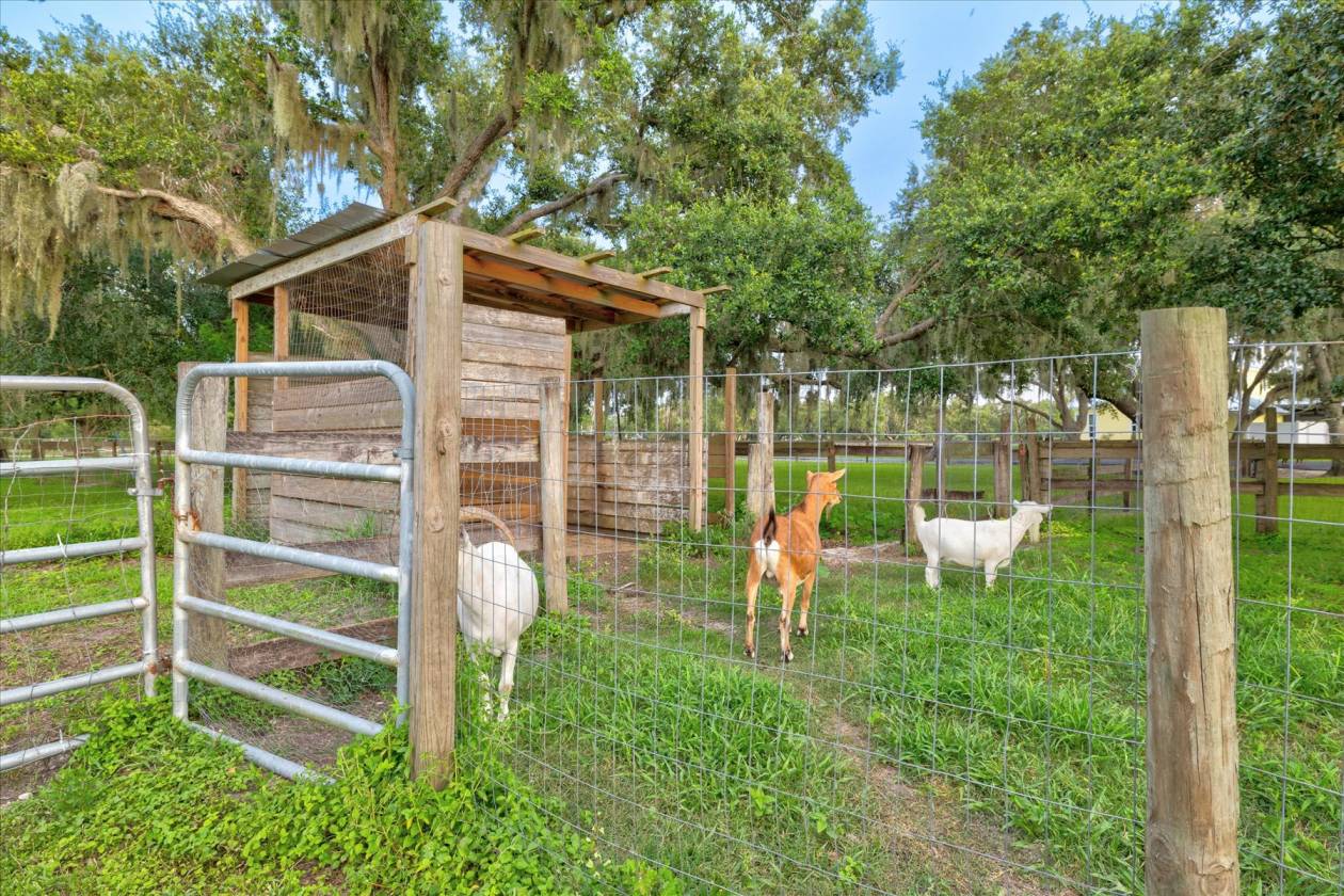 Horse and Hobby Farm on 5.7 Acres - photo 29