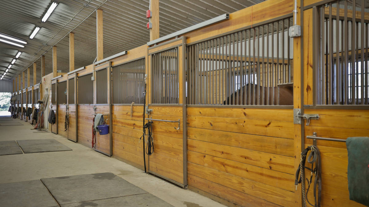 Luxury equestrian facility with remodeled home on a spectacular 21