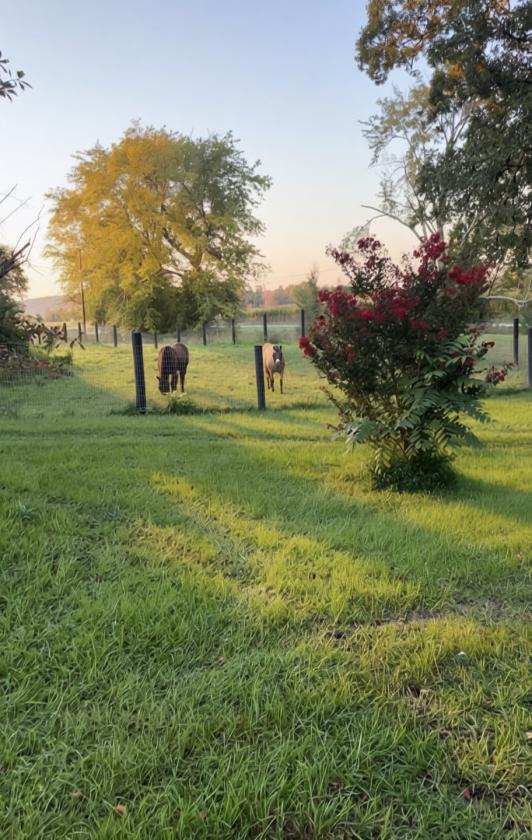 28 acre - photo 29