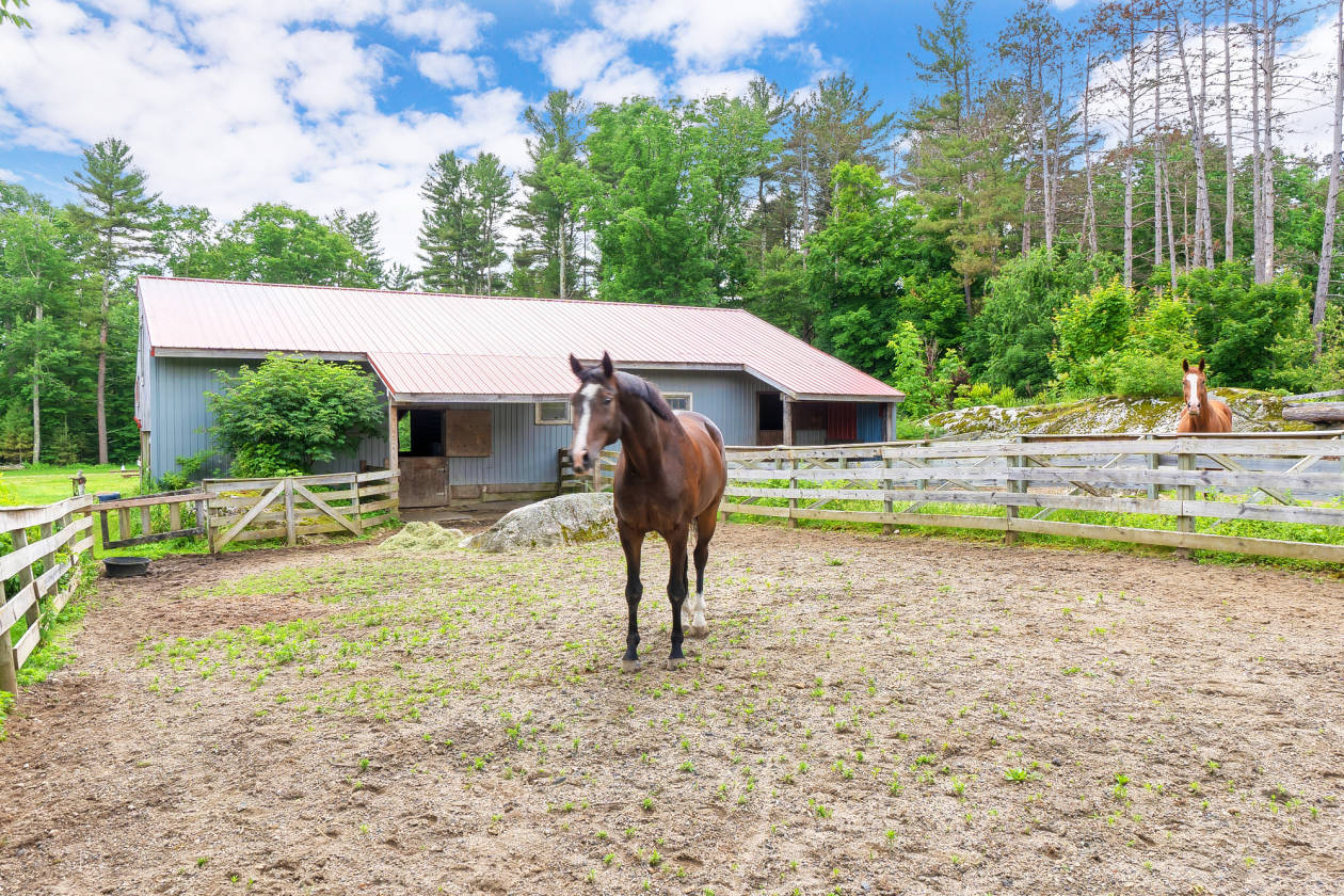 10Acre Equestrian Property with Antique Colonial in Petersham MA