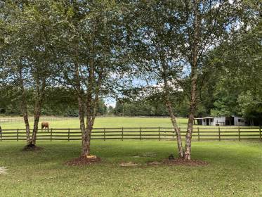 Property image.