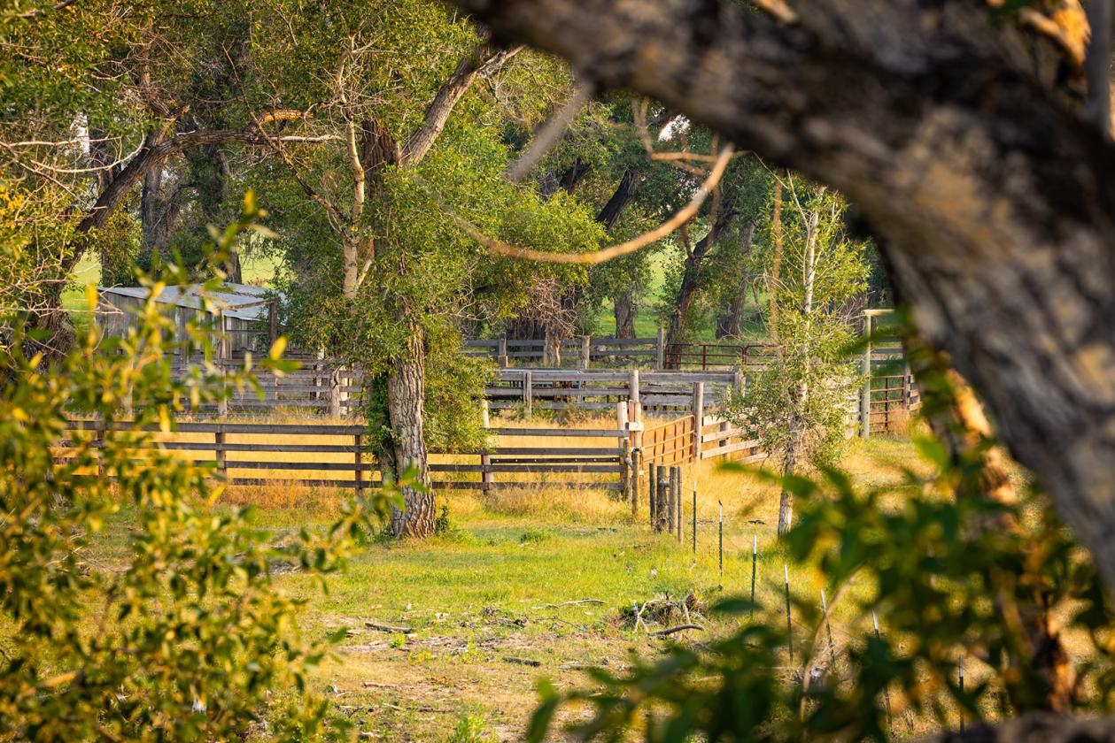 Sun River Equestrian - photo 20