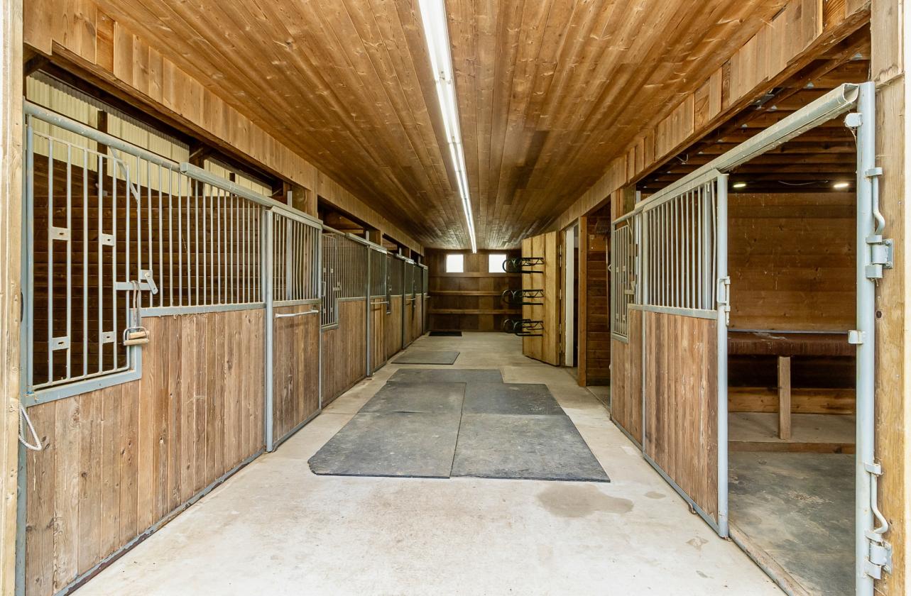 Modern Farmhouse Meets Horse Heaven - photo 4