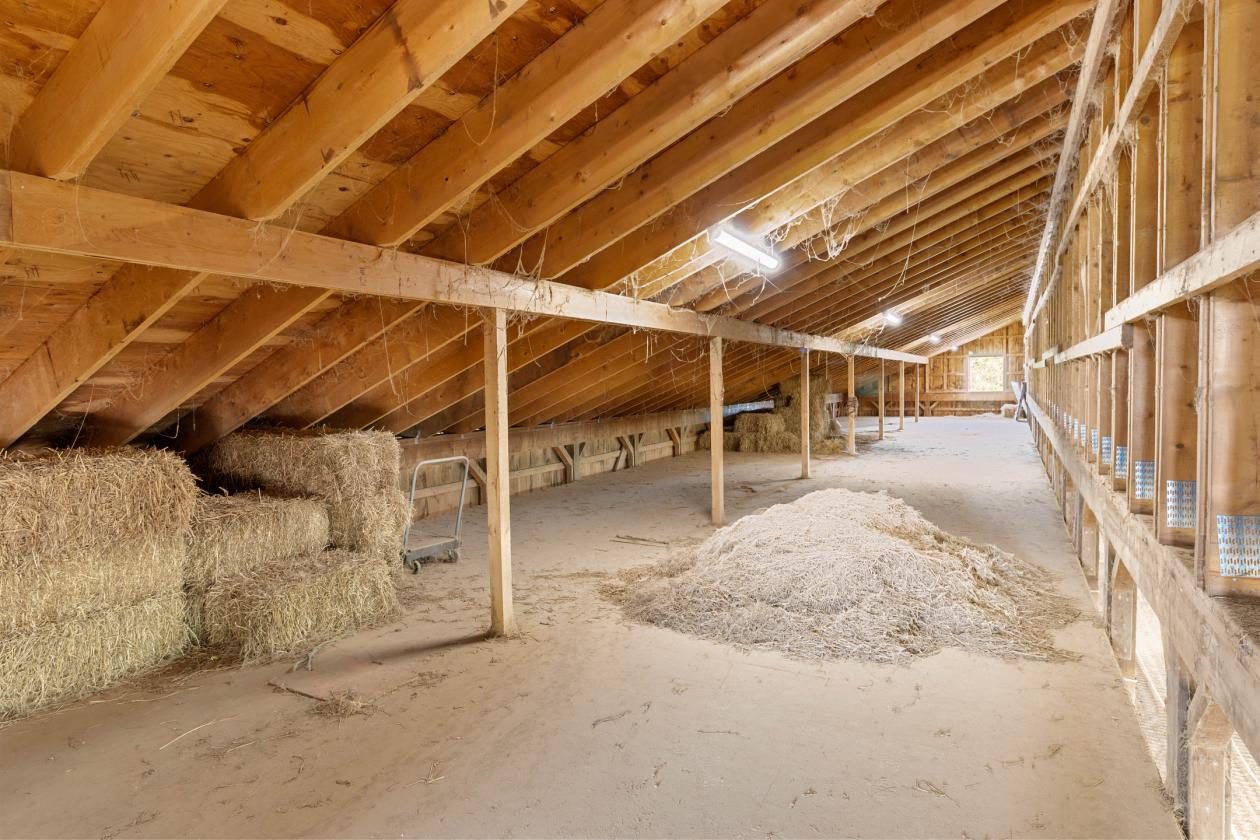 Equestrian Center with compound Living - photo 28