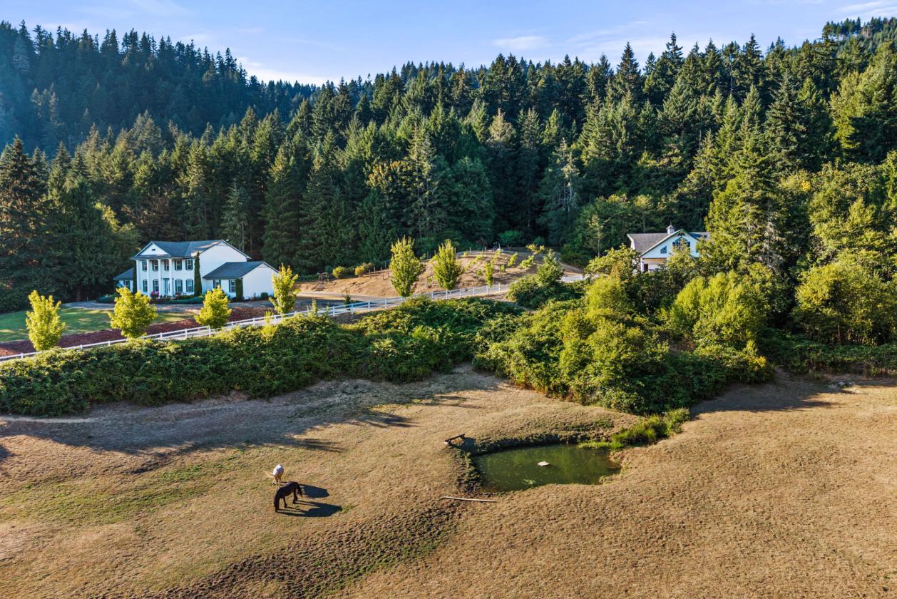 The Homestead on Hunter - photo 3