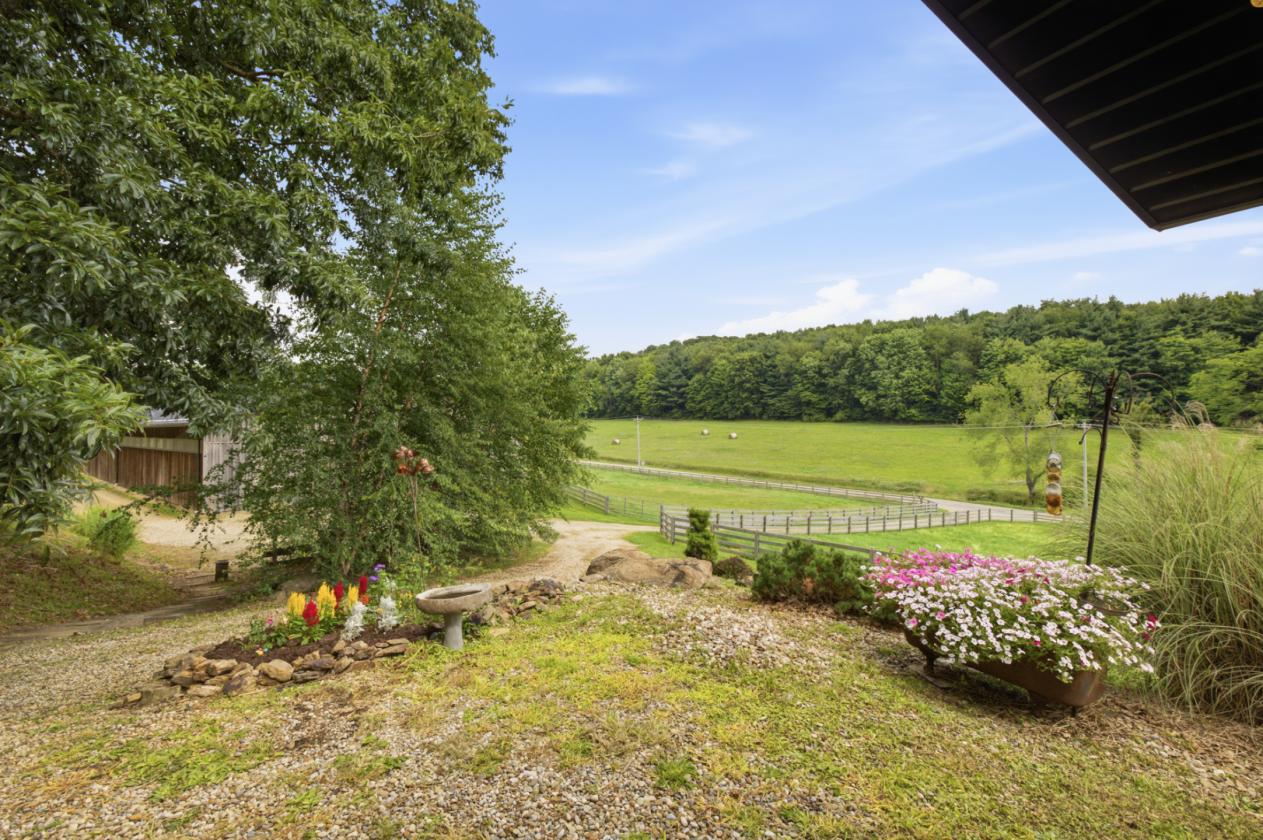 Exceptional Mohican Equine Estate Auction - photo 16