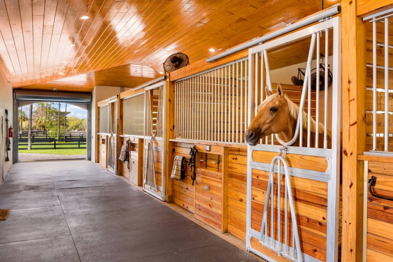 Custom Built Luxury Equestrian Estate with Stables - photo 29