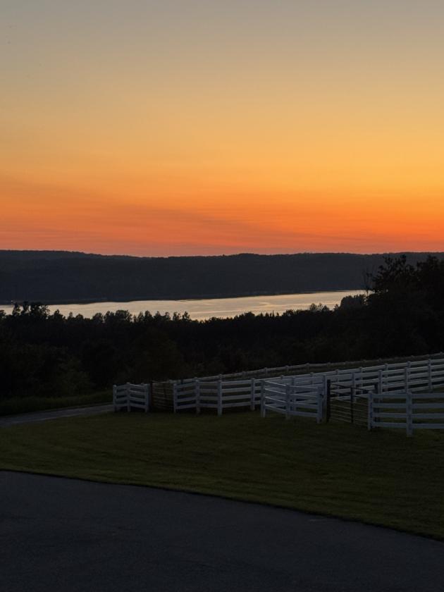 180 ACRE EQUESTRIAN ESTATE WITH PRIVATE LAKE! - photo 28