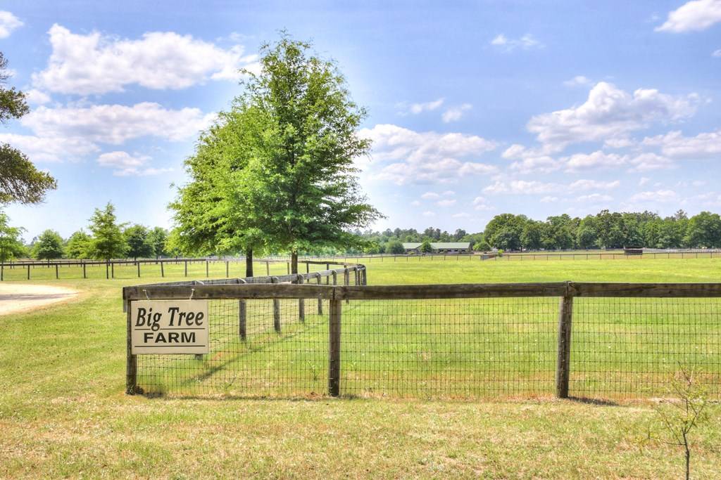 Private, 58+ Acre Big Tree Farm Ready for Polo... Salley, Aiken