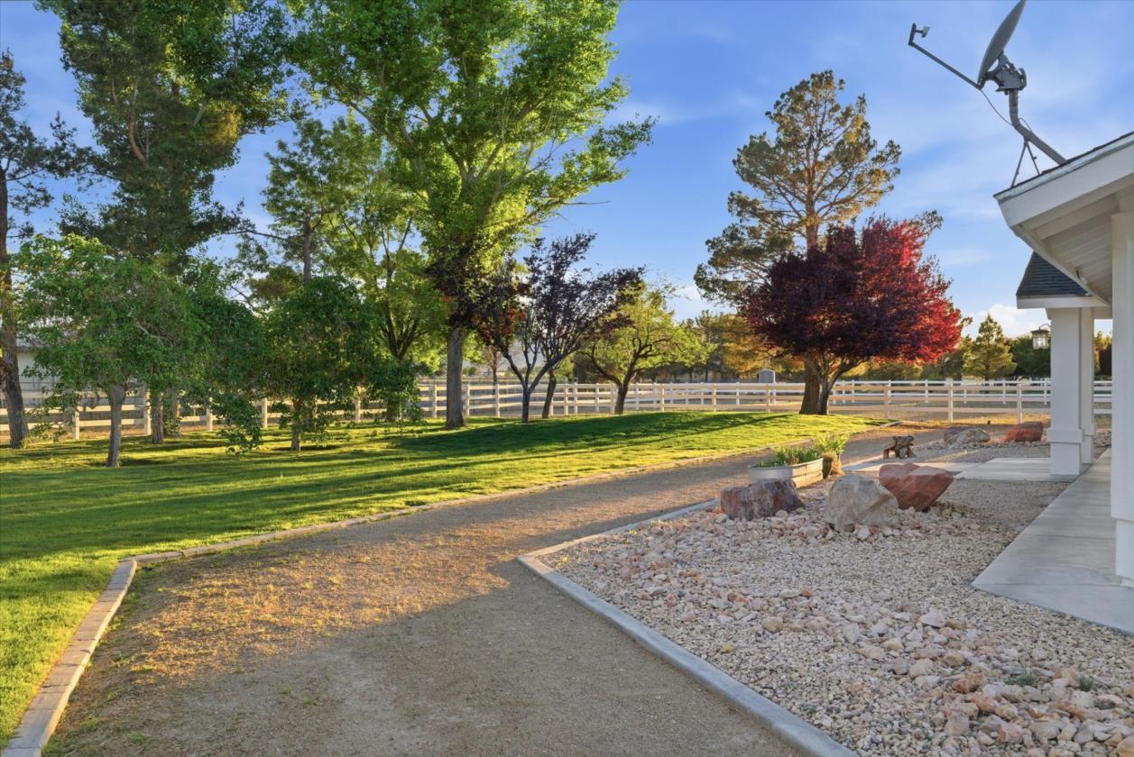 5 acre horse property and hobby farm w/vineyard - photo 28