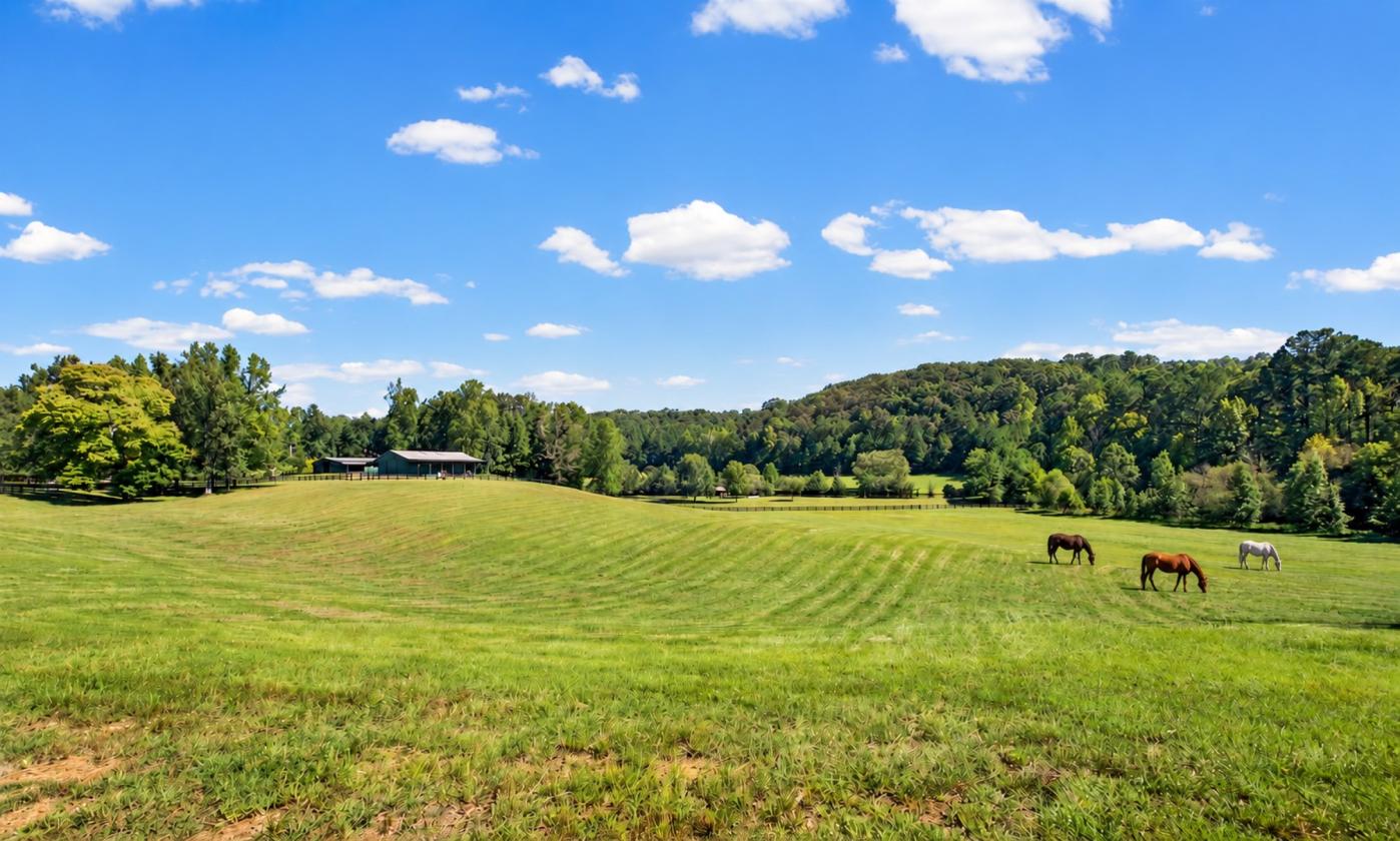Equestrian Country Estate/ Private Lake/ 53 acres - photo 6