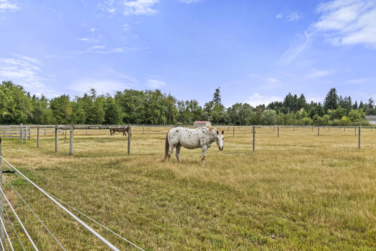 Keystone Ranch in the Evergreen Valley - photo 15