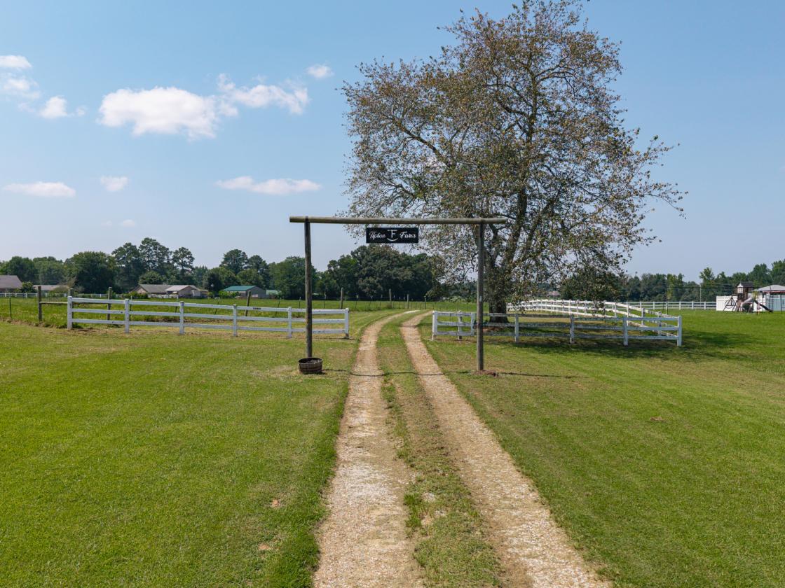 Bring the Horses, Cows and Chickens - photo 30