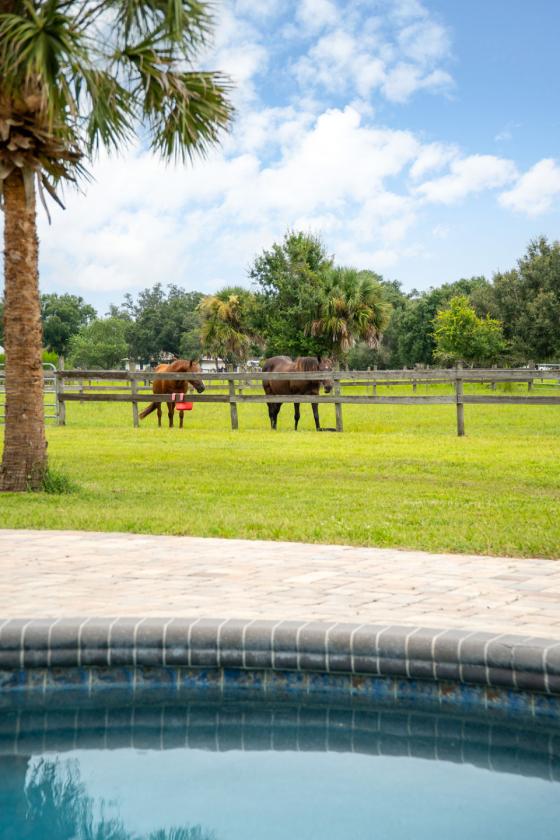 8 Acre Horse Property - photo 4
