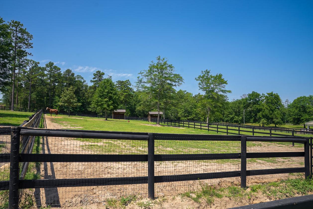 Horse-Ready in Aiken’s Goodsprings Plantation - photo 7