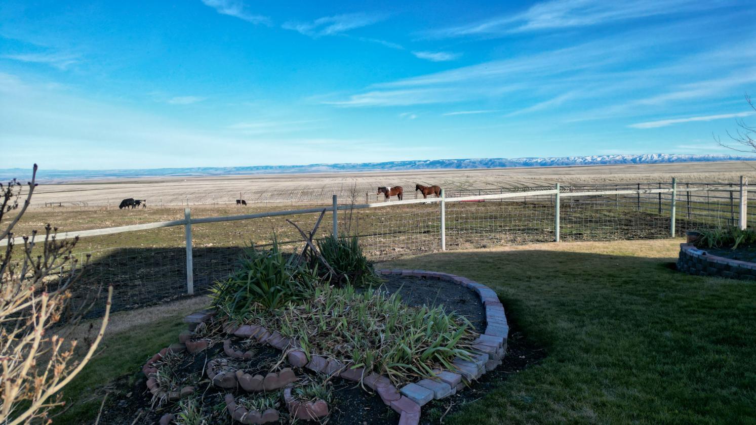 Ranch Property with Panoramic Mountain Views - photo 14
