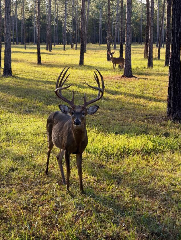 Phillips Ranch | 5,110± Acre World-Cch - photo 25